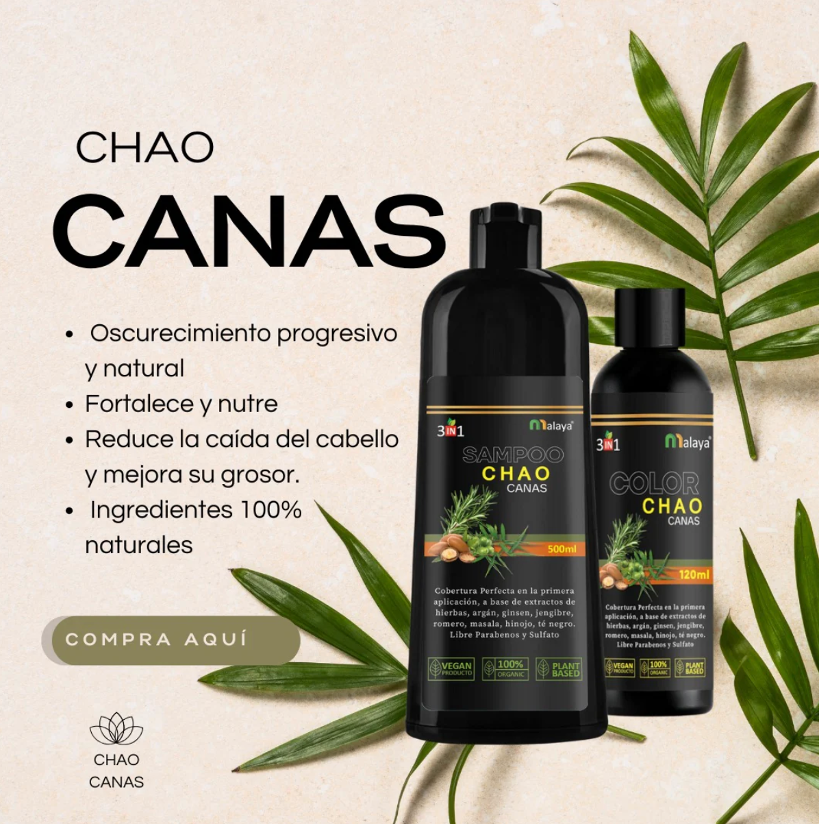 SHAMPOO TINTE INSTANTANEO CHAO CANAS