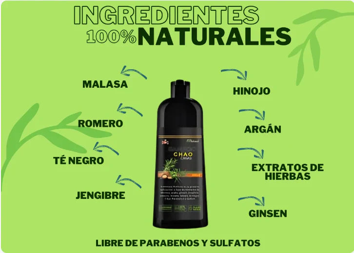 SHAMPOO TINTE INSTANTANEO CHAO CANAS