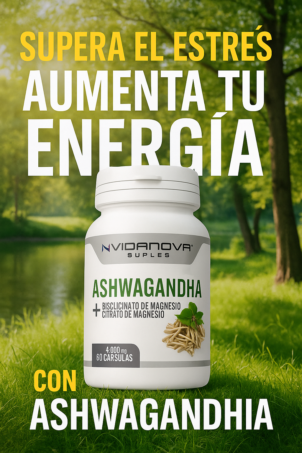 ASHWAGANDHA + MAGNESIO 1000mg 60 CAPS