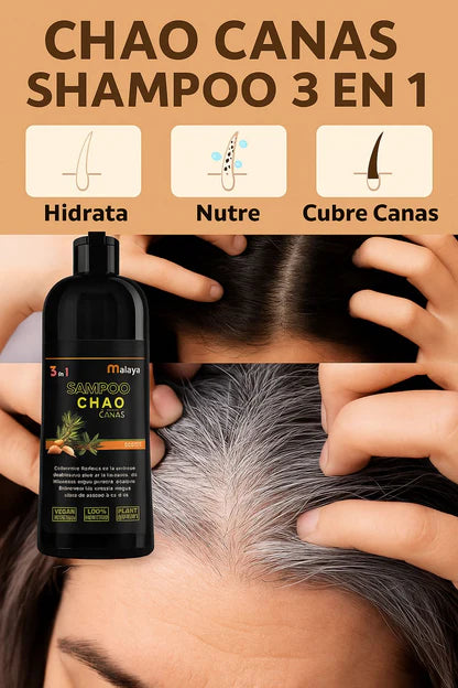 SHAMPOO TINTE INSTANTANEO CHAO CANAS